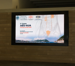 Ier Curso AEU-AUA. Donostia Nov 16