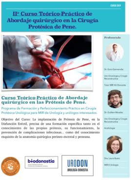 Programa del Curso