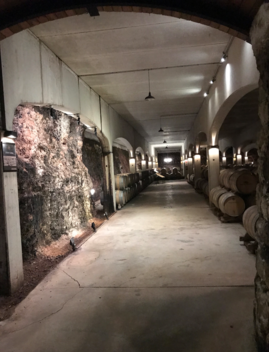 Bodega de David Moreno, en Badarán (Rioja)